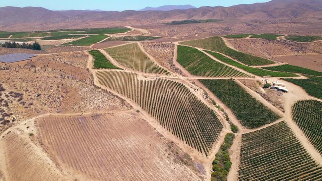 Aerial rotating shot of a small solar field with a large vineyard in Fray Jorge, Limari Valley, Chile