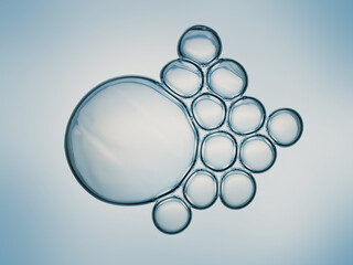 Cells division process, Cell divides into two cells	