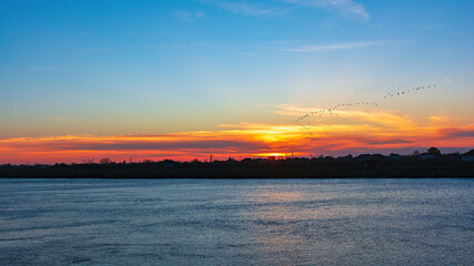 Colorful sunset on a wide river and a flock of migratory birds in the sky