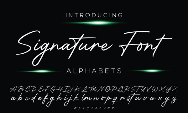 Signature Font Calligraphy Logotype Script Brush Font Type Font Lettering Handwritten