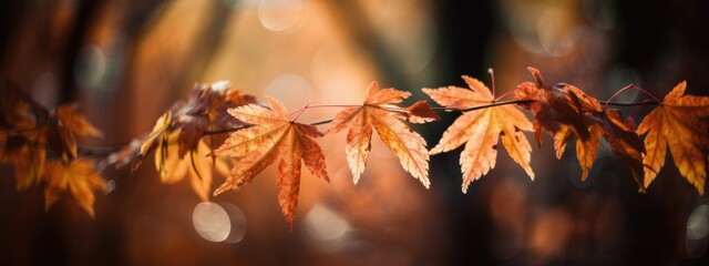 Naklejka na ściany i meble Autumn Fall Leaves Soft Background with Copy Space for Text. Generative Ai