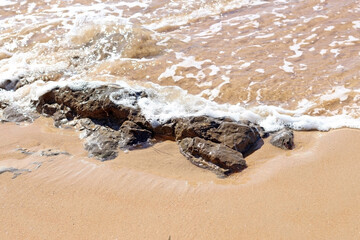 Some rocks on the shore of a beach in summer