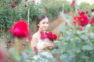 Fototapeta na wymiar Young Asian woman wearing a white dress poses with a rose in rose garden, Chiang Mai Thailand