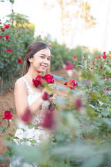 Obraz na płótnie Canvas Young Asian woman wearing a white dress poses with a rose in rose garden, Chiang Mai Thailand