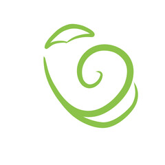 Decoration Swirl Vector