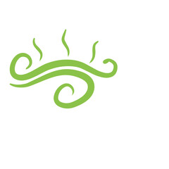 Obraz premium Decoration Swirl Vector