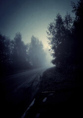 Night foggy forest road