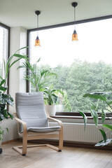 Grey armchair near big panoramic window, indoor plants, monstera, palm trees. Urban jungle apartment. Biophilia design. Cozy tropical home garden. Eco friendly decor of living room.