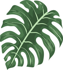 Leaf Illustration Element