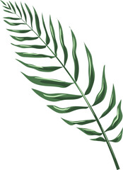 Leaf Illustration Element