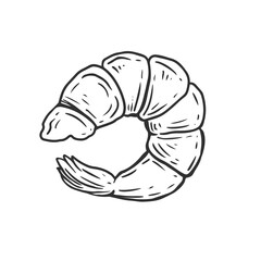 peeled shrimp, sketch on a white background for the menu of fish restaurants, for packaging in markets and stores.