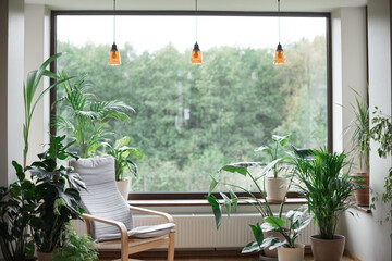 Modern interior with indoor plants, monstera, palm trees. Urban jungle apartment. Biophilia design....