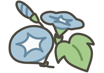 あさがおの手書きイラスト　カラー