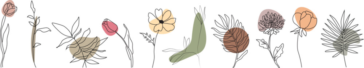 Set line art of flowers and plants. Vector illustration.