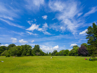 Fototapeta na wymiar A huge lawn area in a park on a sunny day (Bute Park, Cardiff, Wales, United Kingdom, in summer)