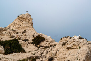 Les Iles du Frioul au large de Marseille 