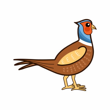 recommend clip art: Ibis on  white background. Beautiful exotic bird. Zoo animals. Vector doodle illustration.