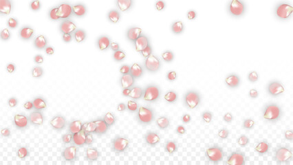 Pink Vector Realistic Petals Falling on Transparent Background.  Spring Romantic Flowers Illustration. Flying Petals. Sakura Spa Design. Blossom Confetti. Design Elements for Wedding Decoration.