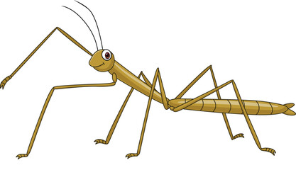 Cartoon stick insect on white background