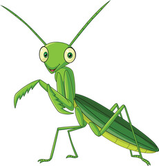 Cartoon green mantis on white background