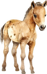 Obraz premium Foal illustration created with Generative AI technology