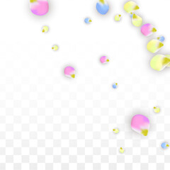 Vector Realistic Colorful Petals Falling on Transparent Background.  Spring Romantic Flowers Illustration. Flying Petals. Sakura Spa Design. Blossom Confetti. Design Elements for Wedding Decoration.
