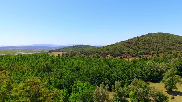 aerial shot of the forest of el kala Algeria