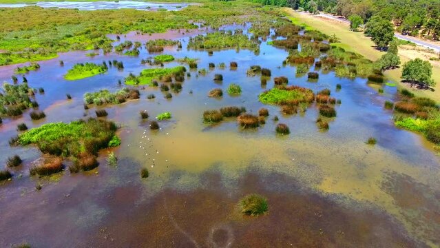 aerial shot of the wetland  el kala Algeria