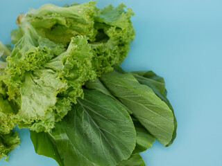 fresh lettuce and choy sum isolated on blue background