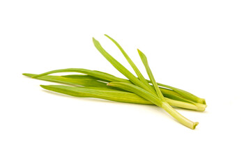 Fresh garlic sprouts on white background