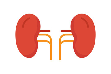 Kidney icon illustration. icon related to human organ. Flat icon style. Simple vector design editable.  EPS file, SVG, PNG Transparent, JPG.