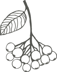 A sprig of chokeberry with a leaf silhouette black outline