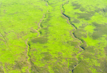 Aerial View of Green Plain with Lava Stream Tracks