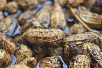 close up raw peanuts soaked in water in a basin