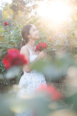 Young Asian woman wearing a white dress poses with a rose in rose garden, Chiang Mai Thailand