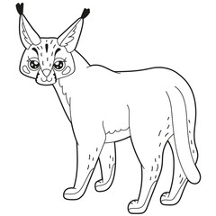 Simple children's coloring book cute desert animal character caracal