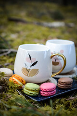 Coffee mug and colorful macaroon cookies, picnic in the forest