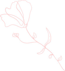 Floral Line Illustration