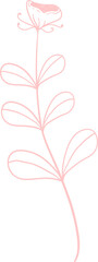 Floral Line Illustration