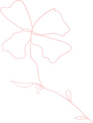 Floral Line Illustration