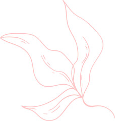 Floral Line Illustration