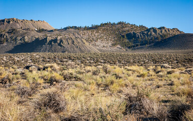 Arid Landscape of Mono-Inyo Craters