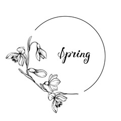 Fototapeta premium First spring flowers. Snowdrops vector graphic illustration. Delicate flowers circle frame for celebration design.