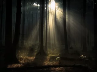 Fotobehang Mistige ochtendstond Sonnenstrahlen brechen durch das Blätterdach in einem dunklen, magischen Wald