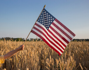 American flag in a wheat field illuminated by sunlight. agricultural grain harvest. Independence Day of the United States of America. Pride, freedom, national symbol