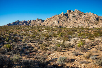 Fototapeta na wymiar Mountains and Brush Lands at Mojave National Preserve