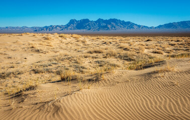 Mountains and Brush Lands at Mojave National Preserve