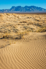Mountains and Brush Lands at Mojave National Preserve