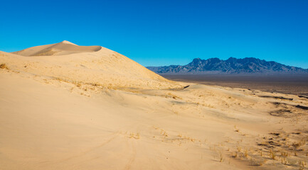 Arid Desert Dunes at Mojave National Preserve