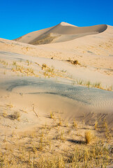 Arid Desert Dunes at Mojave National Preserve